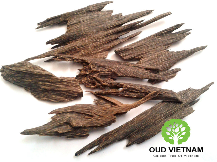 Agarwood – The wood of the gods