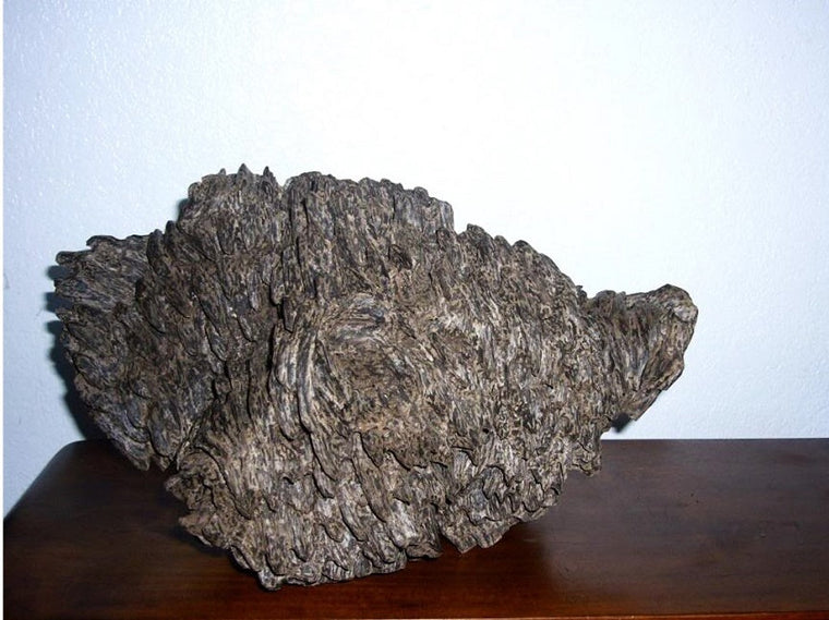 Characteristics of common Agarwood varieties in the world
