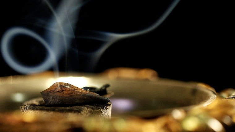 Differences between natural agarwood and cultivated agarwood