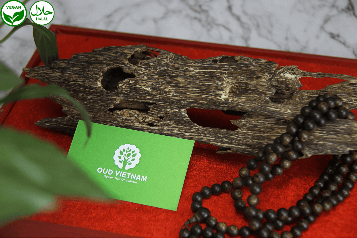 Oud Vietnam and the Journey of Producing Agarwood to Global Trademark Standards