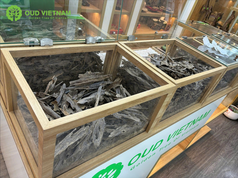 How to Properly Preserve Agarwood
