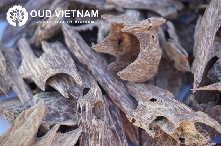 Oud world history and its benefits.