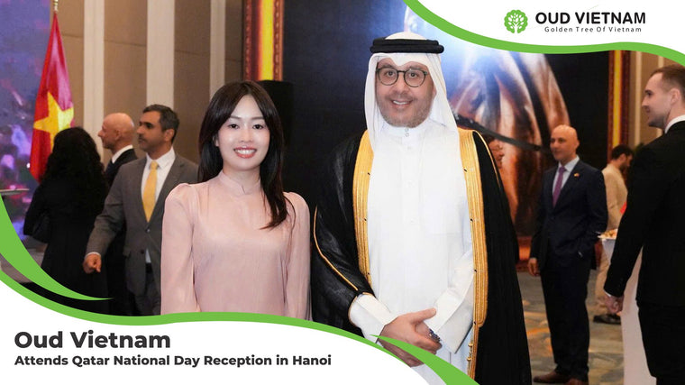 Oud Vietnam Attends Qatar National Day Reception in Hanoi