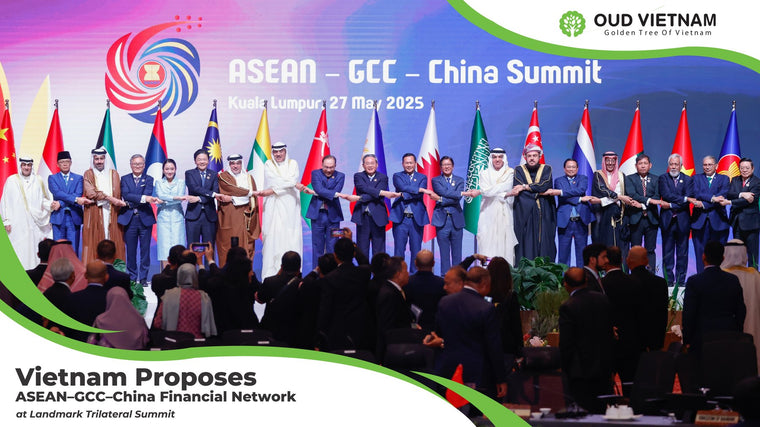 Vietnam Proposes ASEAN–GCC–China Financial Network at Landmark Trilateral Summit