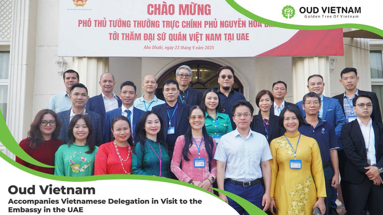Oud Vietnam Accompanies Vietnamese Delegation in Visit to the Embassy in the UAE