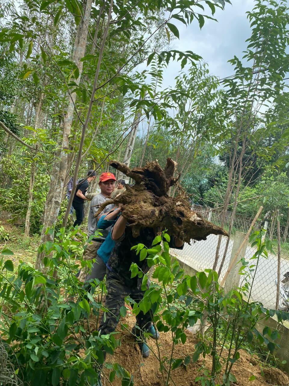The Art and Challenges of Crafting agarwood at Oud Vietnam