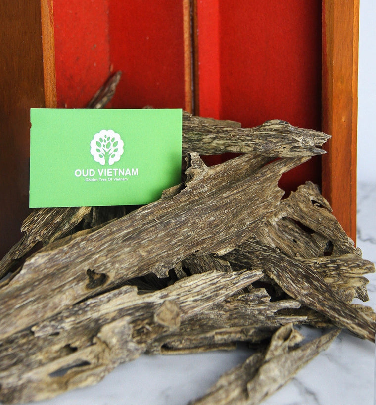 Why OUD Vietnam is special?