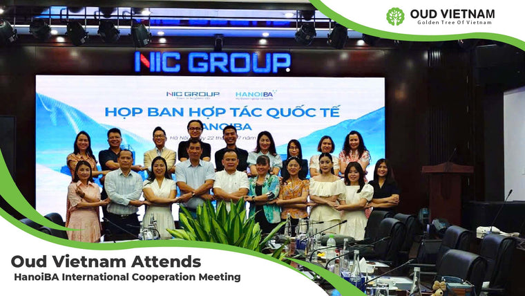 OUD VIETNAM Attends HanoiBA International Cooperation Meeting