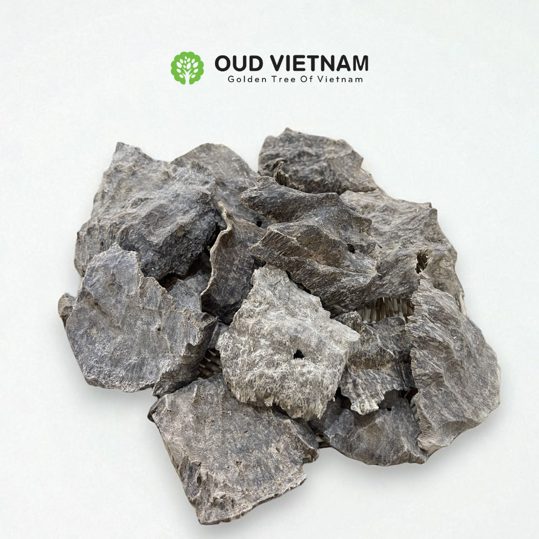 ROOT shape OWC1 special – ROOT (100g)