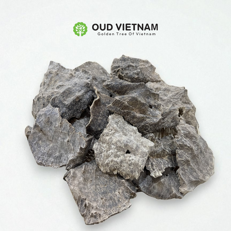 ROOT shape OWC1 special – ROOT (100g)