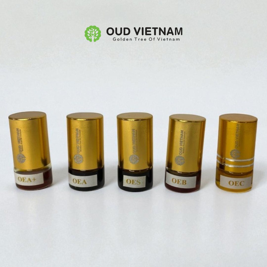Combine Trial 1 – 5 Types Oud Wood Essential Oil – CBEOT1 (Package)