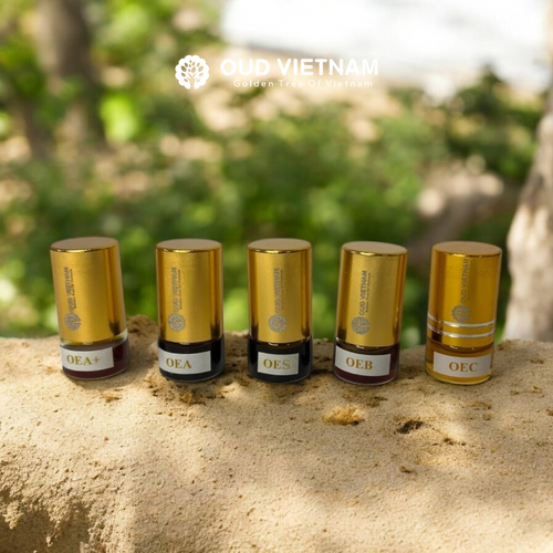 Combine Trial 1 – 5 Types Oud Wood Essential Oil – CBEOT1 (Package) image 2