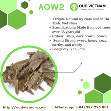 Ant Wood Oud Chips Grade Special AA+ – AOW2 (100g) image 8