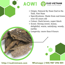Ant Wood Oud Chips Super Special AAA+ – AOW1 (100g) image 8