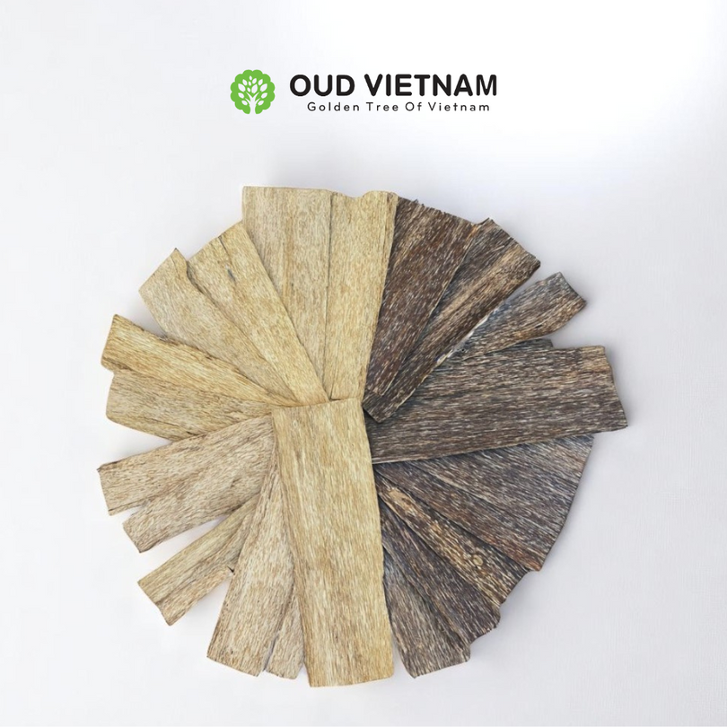 Oud Chunks Grade AA+ 0,5mm – OCK2 (100g)