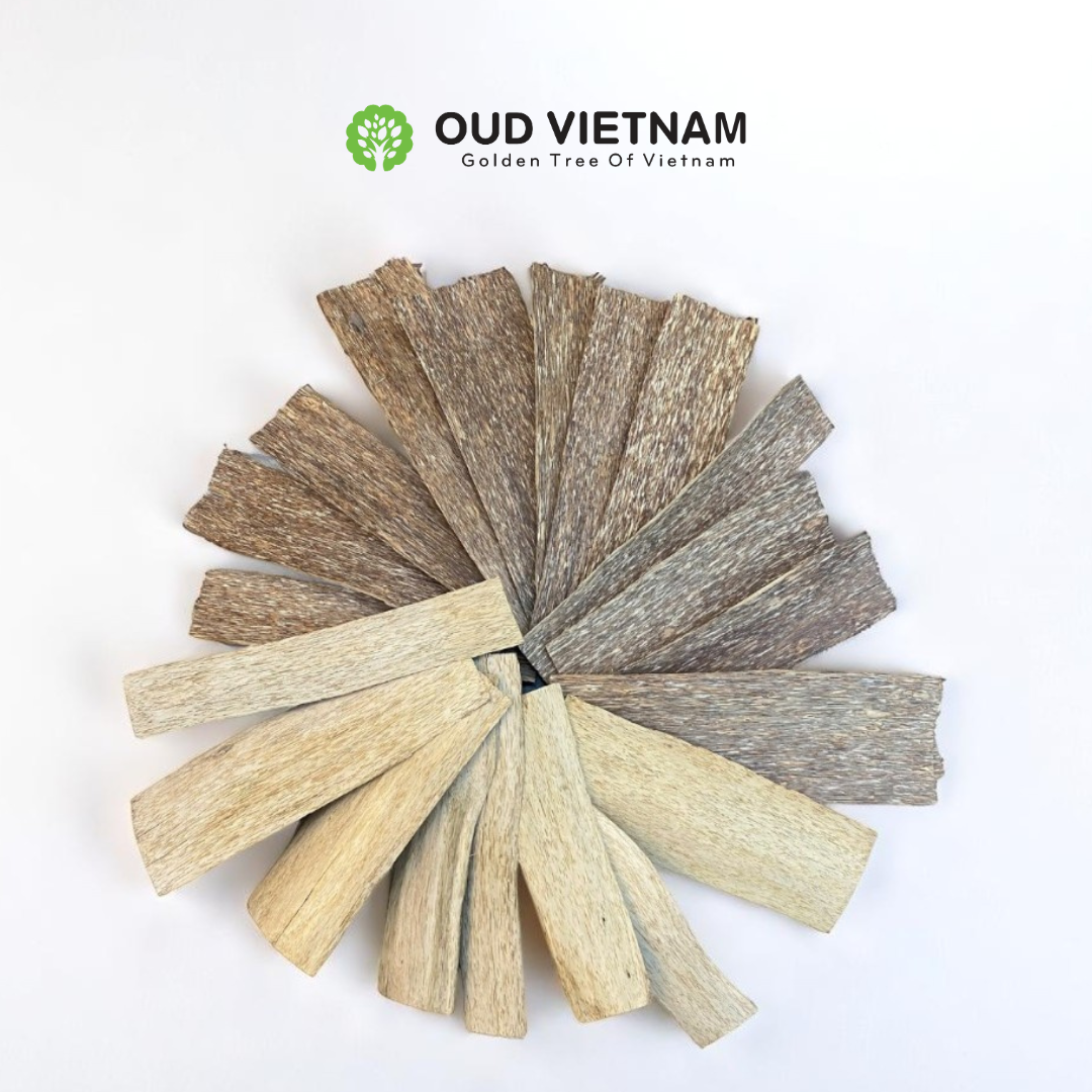 Oud Chunks Grade A+ 1mm – OCK3 (100g)