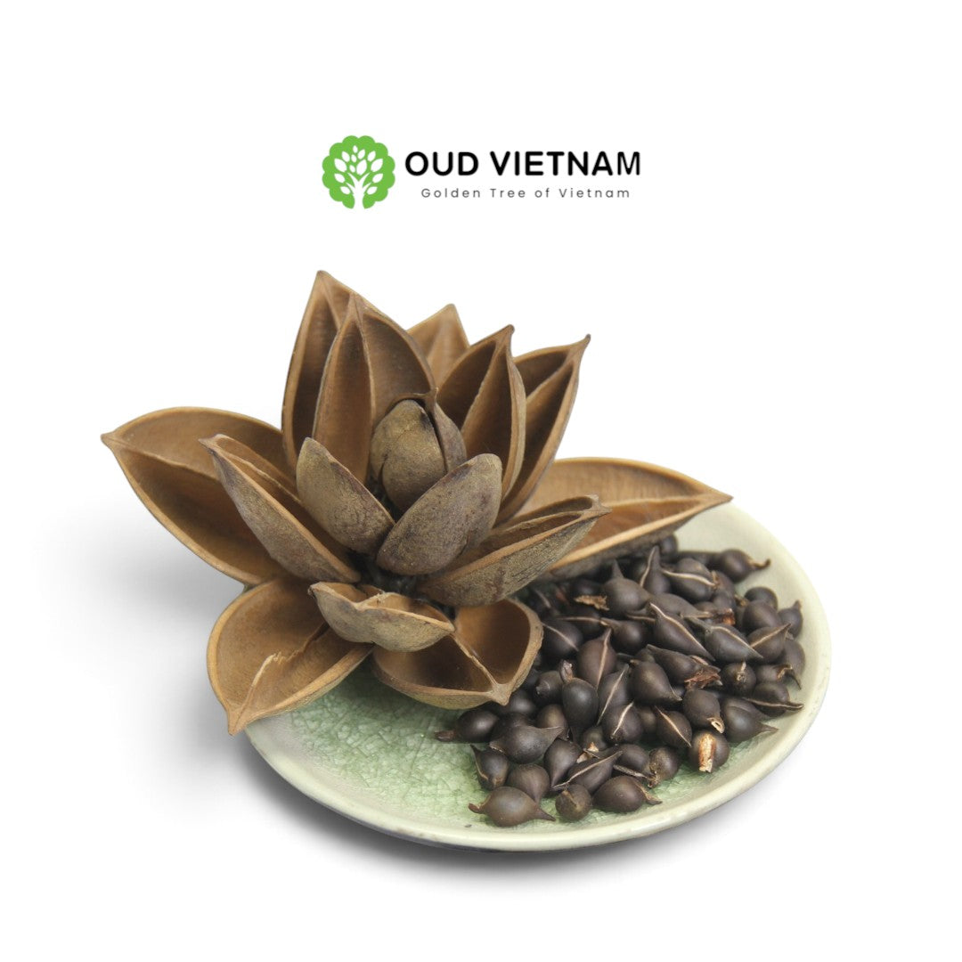 Special season highend Oud Seeds – SOS (1kg)