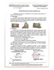 Ant Oud Wood Chips Grade A+ – AOW3 (100g) image 16
