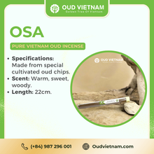 Oud Wood High-end Incense stick 22cm – OSA (1kg) image 5