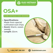 Oud Wood High-end Incense stick 22cm – OSA+ (1kg) image 5