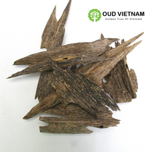 Ant Wood Oud Chips Super Special AAA+ – AOW1 (100g) image 1