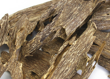 Ant Wood Oud Chips Grade Special AA+ – AOW2 (100g) image 3
