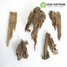 Ant Oud Wood Chips Grade A+ – AOW3 (100g) image 6