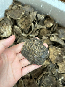 ROOT shape OWC1 special – ROOT (100g) image 3