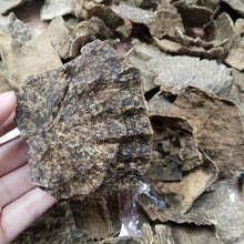 ROOT shape OWC1 special – ROOT (100g) image 4